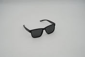 3085 POLARISED UV400 SUNGLASSES